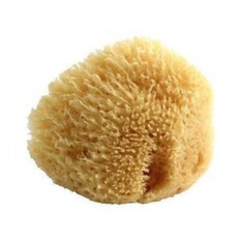 Prírodná morská huba POUPY