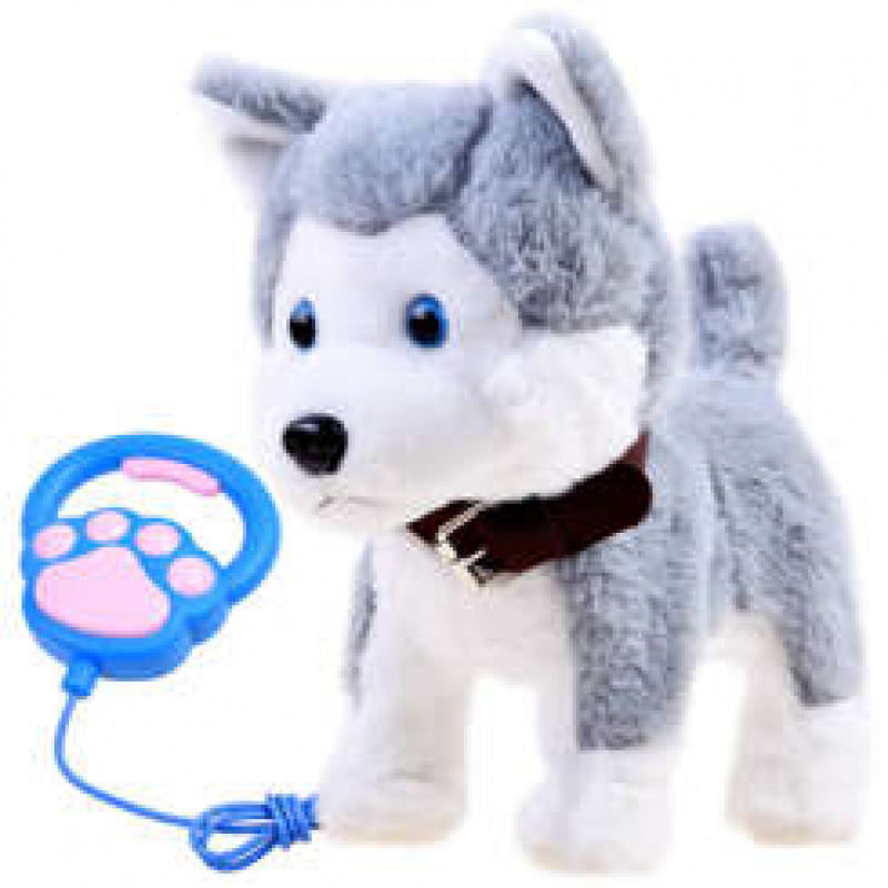 Interaktívny pes Husky na vodítku 6DZ065 - II. AKOSŤ
