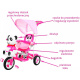 detský trojkolový bicykel Panda Pink + zvuky + strieška + zábrana + opierka nôh + rukoväť + lyžiny + úložný priestor