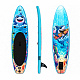 Aga Detský Paddleboard DS2215 250x60x10 cm