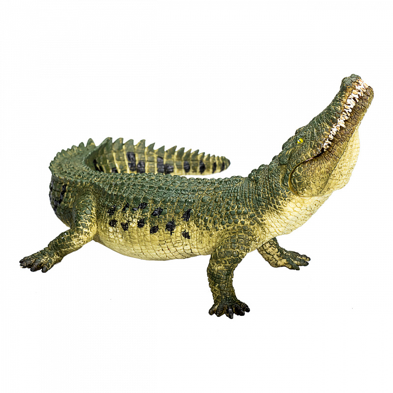 Mojo Animal Planet Krokodíl s kĺbovou čeľusťou 6DZ081 - II. AKOSŤ