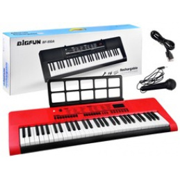 Organ s mikrofónom 61 kláves IN0140