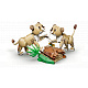 LEGO® Creator 3 v 1 31386 Divoké zvieratá: Majestátny lev