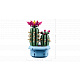 LEGO® Botanicals 11509 Kvitnúci kaktus
