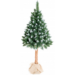 Aga Vianočný stromček 160 cm s kmeňom