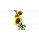 LEGO® Botanicals 11502 Kytica slnečníc