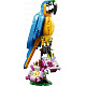LEGO® LEGO Creator 31136 Exotický papagáj