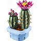LEGO® Botanicals 11509 Kvitnúci kaktus