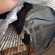 Aga Stojanový ventilátor 43 cm Čierny 6DAZ501 - II.AKOSŤ