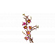 LEGO® Botanicals 11510 Vetvičky magnólie