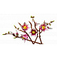 LEGO® Botanicals 11510 Vetvičky magnólie