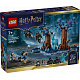 LEGO® Harry Potter™ 76475 Zakázaný les: Expecto Patronum