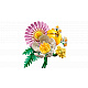 LEGO® Botanicals 10347 Malá slnečná kytica