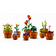 LEGO® Botanicals 10329 Miniatúrne rastliny