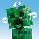 LEGO® Minecraft® 21276 The Creeper™