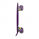 Aga4Kids Pennyboard so svietiacimi LED kolieskami MR6001