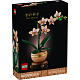 LEGO® Botanicals 10343 Miniatúrna orchidea