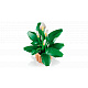 LEGO® Botanicals 11504 Lopatkovec