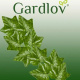 Závesný brečtan drobnolistý umelý 50,4 m Gardlov 19737