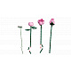 LEGO® Botanicals 10374 Kytica ružových ruží