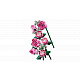 LEGO® Botanicals 10374 Kytica ružových ruží