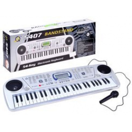 Organ s mikrofónom MQ5407 54 kláves IN0116