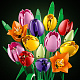 LEGO® Botanicals 11501 Kytica tulipánov