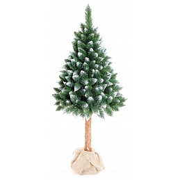 Aga Vianočný stromček 220 cm s kmeňom