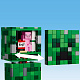 LEGO® Minecraft® 21276 The Creeper™