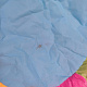 Aga4Kids Hracia deka Kvietok 6DZ105 - II. AKOSŤ