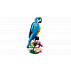 LEGO® LEGO Creator 31136 Exotický papagáj