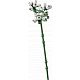 LEGO® Botanicals 10328 Kytica ruží