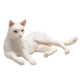 Mojo Animal Planet Mačka biela ležiaca