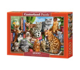 CASTORLAND puzzle 2000 dielikov - Dom mačiek